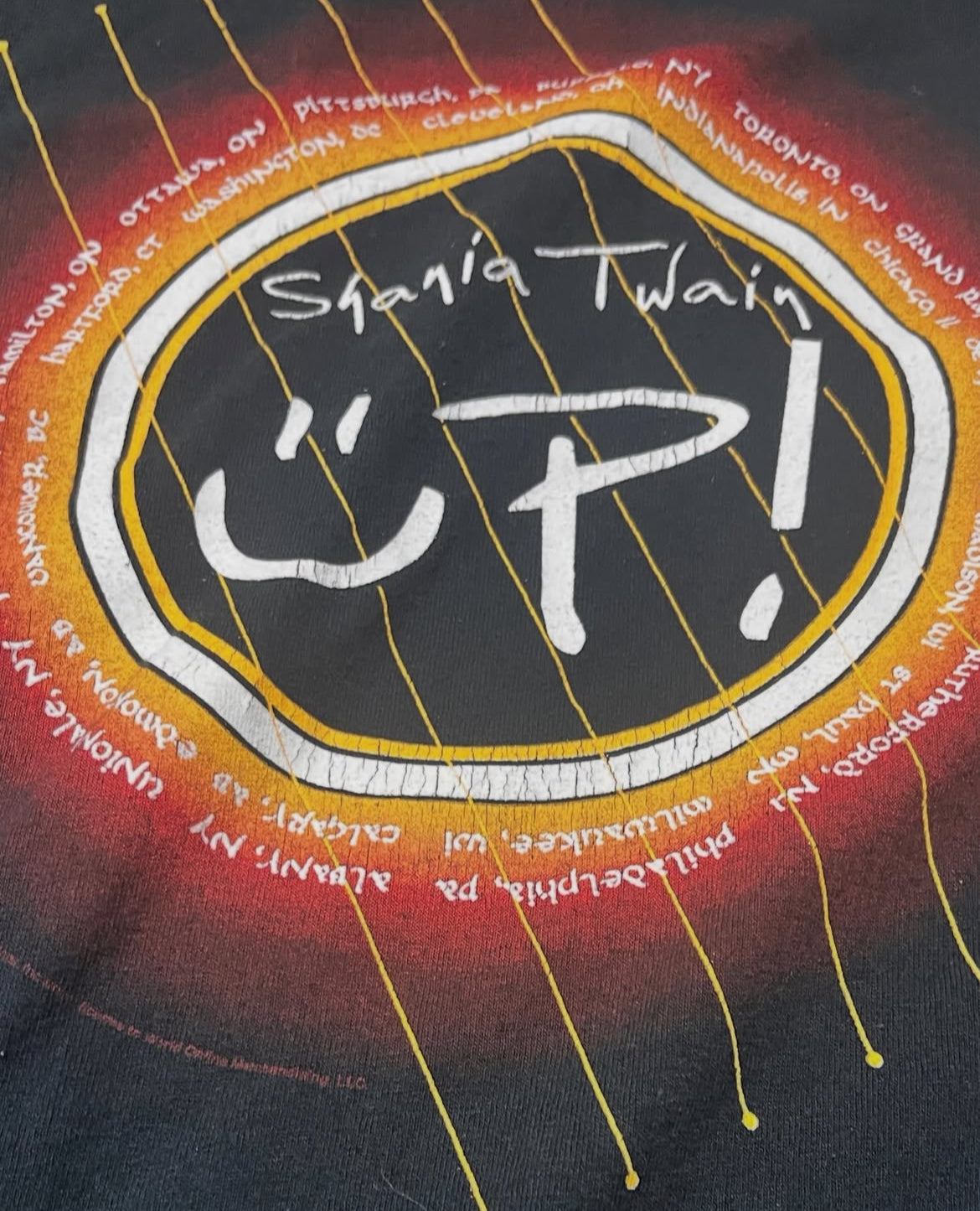 Vintage Shania Twain 2003 T-Shirt Size XL
